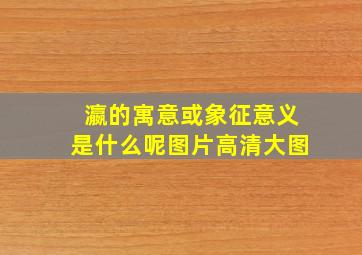 瀛的寓意或象征意义是什么呢图片高清大图