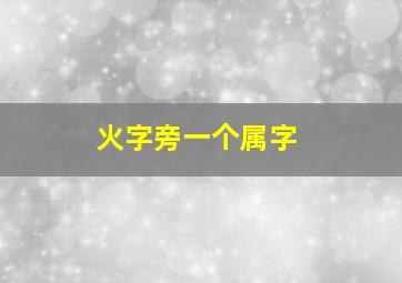 火字旁一个属字