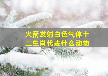 火箭发射白色气体十二生肖代表什么动物