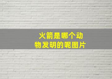 火箭是哪个动物发明的呢图片