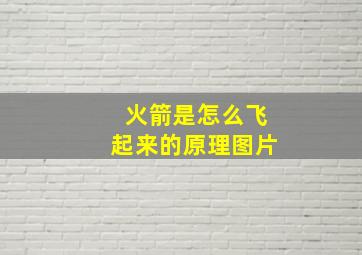 火箭是怎么飞起来的原理图片