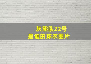 灰熊队22号是谁的球衣图片