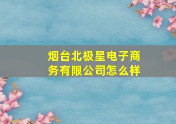 烟台北极星电子商务有限公司怎么样