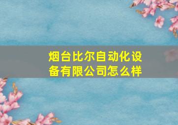 烟台比尔自动化设备有限公司怎么样