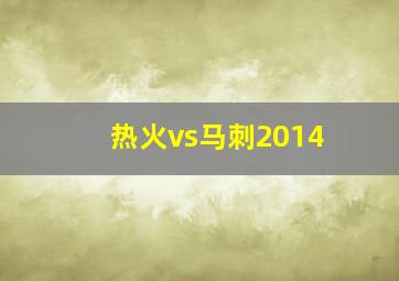 热火vs马刺2014