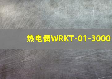 热电偶WRKT-01-3000