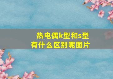 热电偶k型和s型有什么区别呢图片