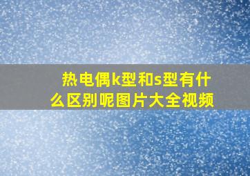 热电偶k型和s型有什么区别呢图片大全视频