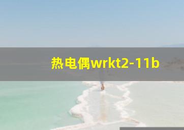 热电偶wrkt2-11b