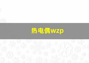 热电偶wzp