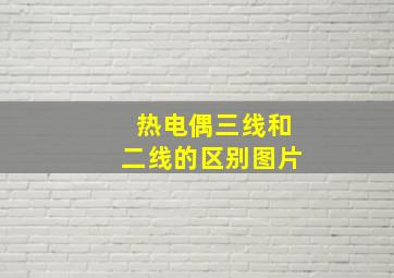 热电偶三线和二线的区别图片