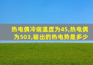 热电偶冷端温度为45,热电偶为503,输出的热电势是多少