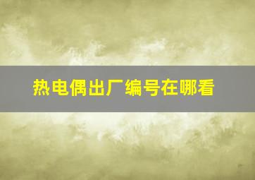 热电偶出厂编号在哪看