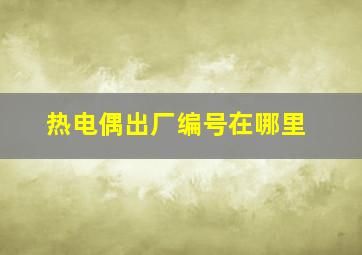 热电偶出厂编号在哪里