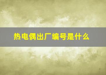 热电偶出厂编号是什么