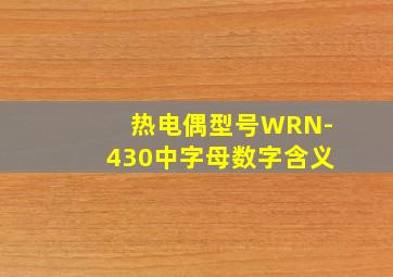 热电偶型号WRN-430中字母数字含义