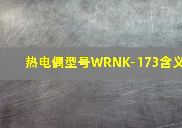 热电偶型号WRNK-173含义