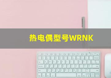 热电偶型号WRNK