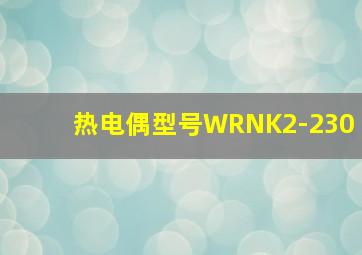 热电偶型号WRNK2-230