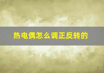 热电偶怎么调正反转的