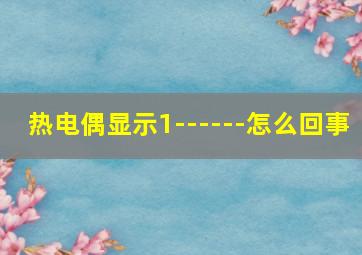 热电偶显示1------怎么回事