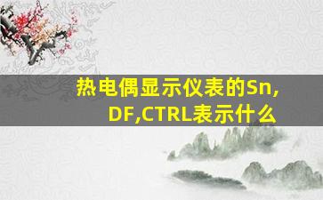 热电偶显示仪表的Sn,DF,CTRL表示什么