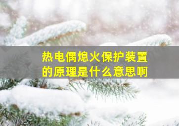 热电偶熄火保护装置的原理是什么意思啊