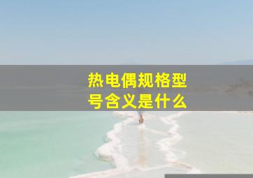 热电偶规格型号含义是什么