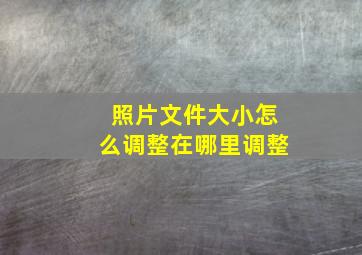 照片文件大小怎么调整在哪里调整