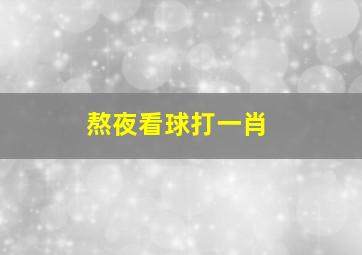 熬夜看球打一肖