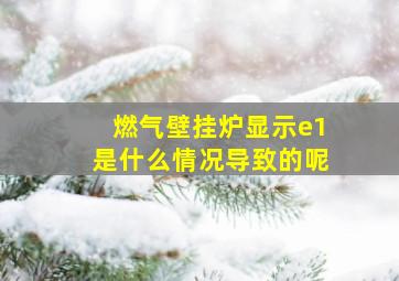 燃气壁挂炉显示e1是什么情况导致的呢