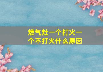 燃气灶一个打火一个不打火什么原因