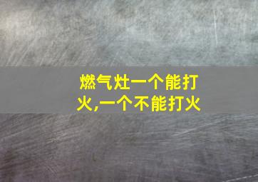 燃气灶一个能打火,一个不能打火