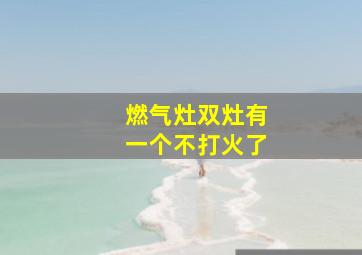 燃气灶双灶有一个不打火了