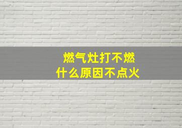 燃气灶打不燃什么原因不点火