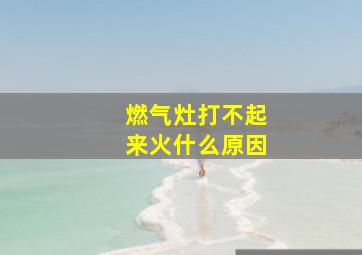 燃气灶打不起来火什么原因