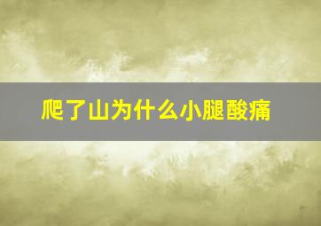 爬了山为什么小腿酸痛