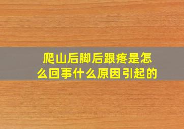 爬山后脚后跟疼是怎么回事什么原因引起的