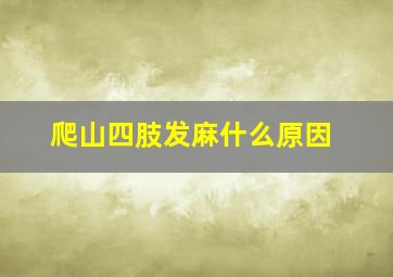 爬山四肢发麻什么原因