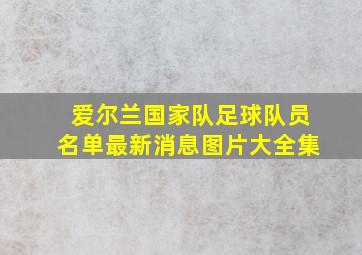 爱尔兰国家队足球队员名单最新消息图片大全集