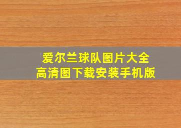 爱尔兰球队图片大全高清图下载安装手机版