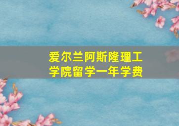 爱尔兰阿斯隆理工学院留学一年学费