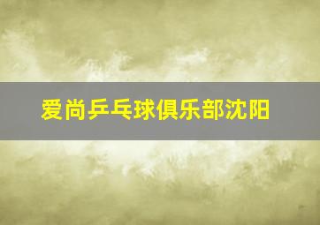 爱尚乒乓球俱乐部沈阳