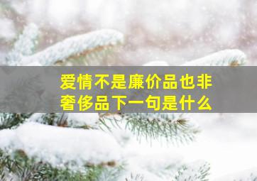 爱情不是廉价品也非奢侈品下一句是什么