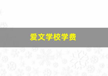 爱文学校学费