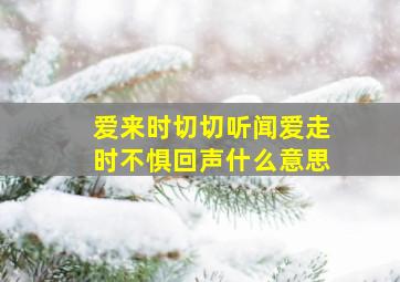 爱来时切切听闻爱走时不惧回声什么意思