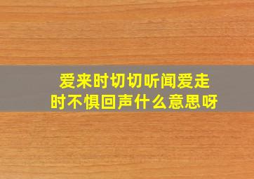 爱来时切切听闻爱走时不惧回声什么意思呀