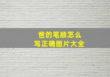 爸的笔顺怎么写正确图片大全