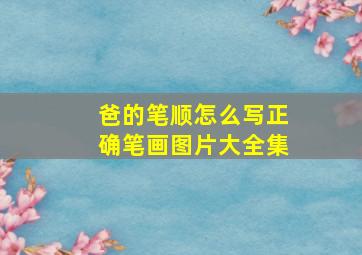 爸的笔顺怎么写正确笔画图片大全集