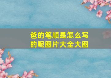 爸的笔顺是怎么写的呢图片大全大图